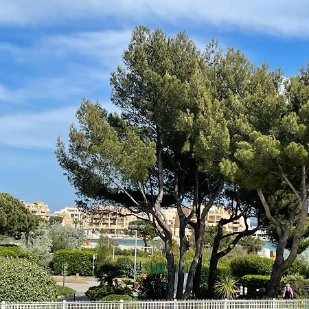 My Little Provence Bormes Les Mimosas Appartement Buitenkant foto